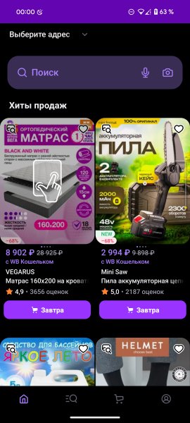 Wildberries v.9.9.9999 TM
