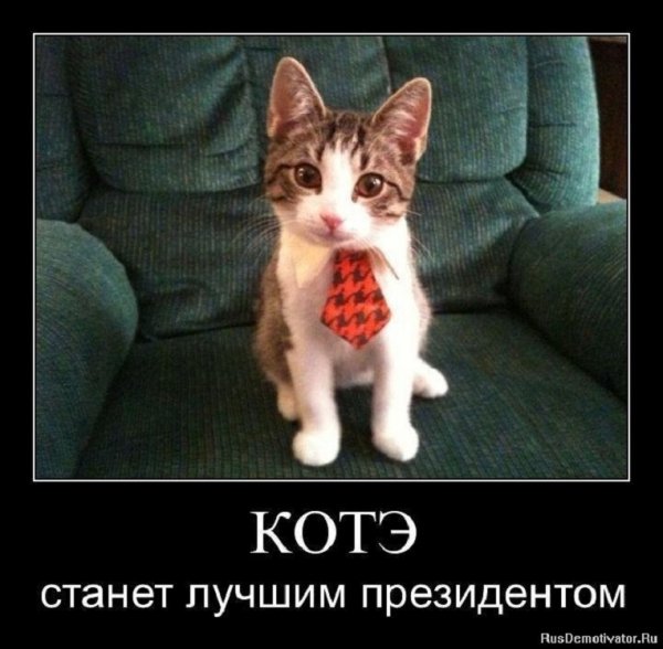 Котэ