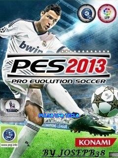 PeS 2013 MoDx