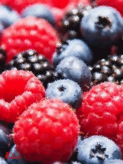 file_58654433