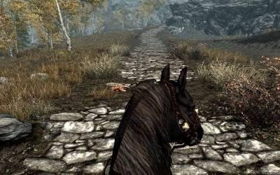 horsefp