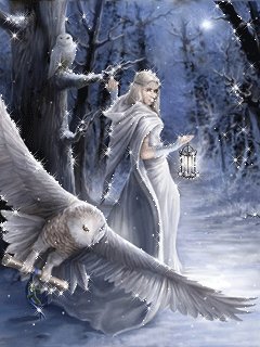 midnightby cqj2h847