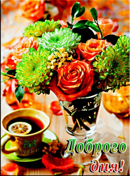 mir-animashki.com 20116 (1)