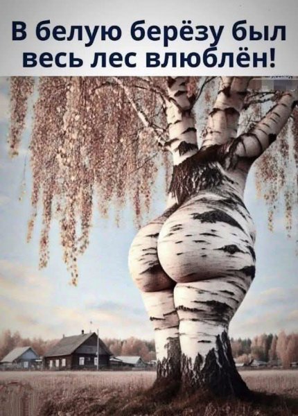 FB IMG 1778838067971