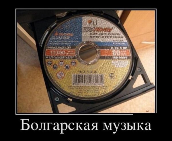 file_66486505