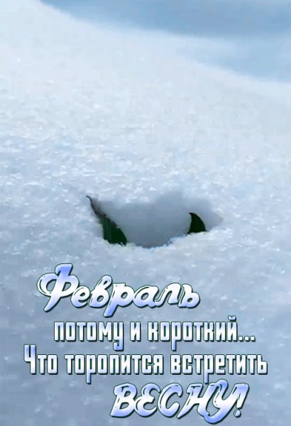 IMG 20230215 180202