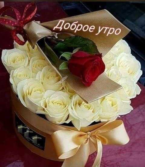 mub1DOD2uSY