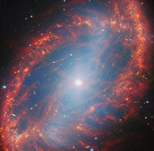 NGC 2566