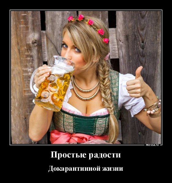 file_81585509
