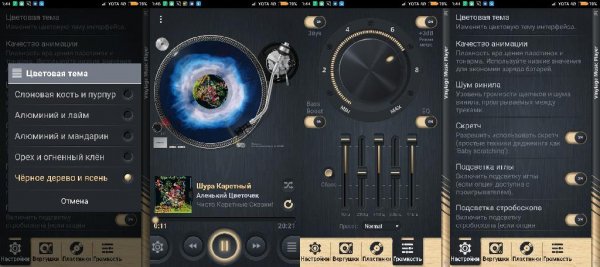 Vinylage Player v1.0.5(2)no ads