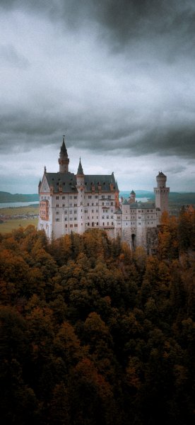 file_101278511
