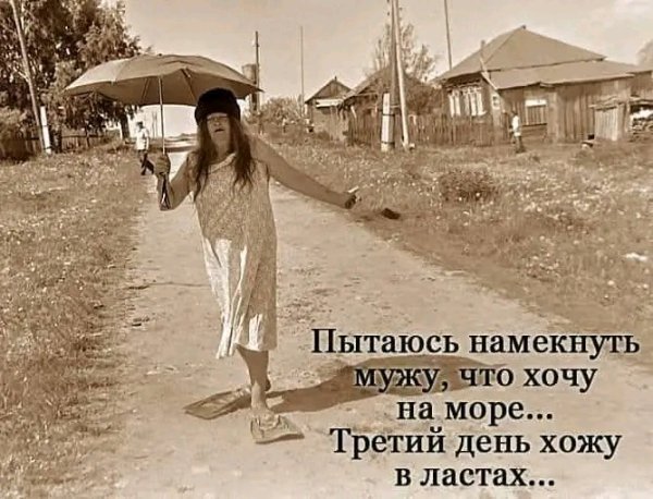 file_103302727