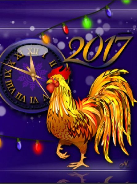 Символ года 2017