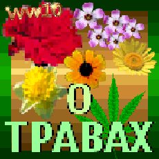 O travah v 1.0-