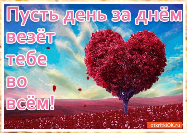 Пусть везёт тебе во всем!
