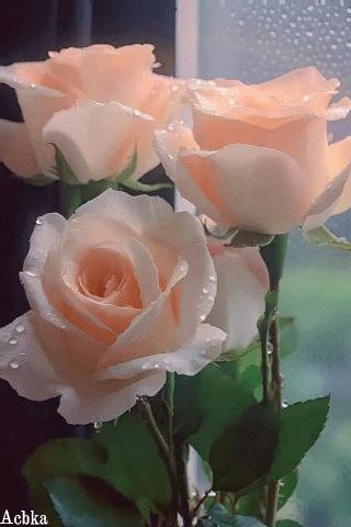 file_96987823
