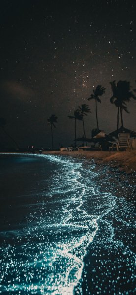 file_100964785