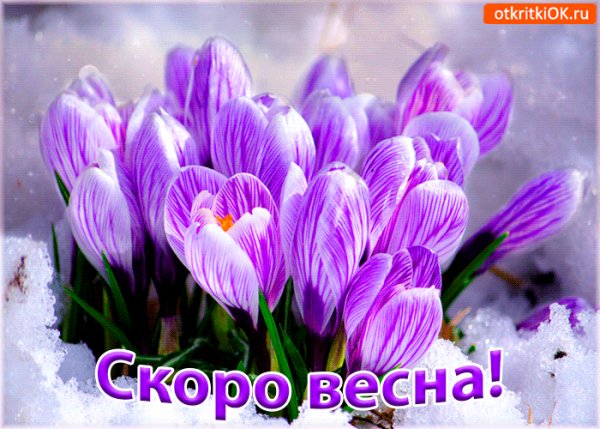 скоро весна!