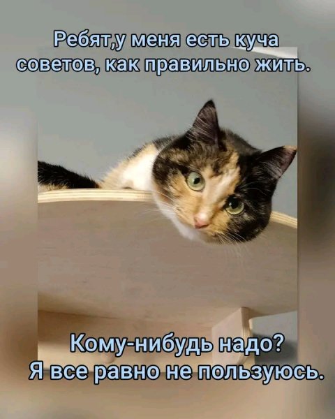 file_103295059