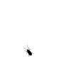 6z2SH-