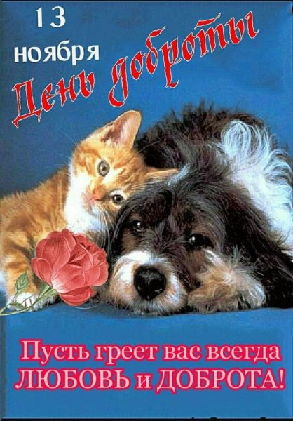 Открытка 13 ноября день доброты
