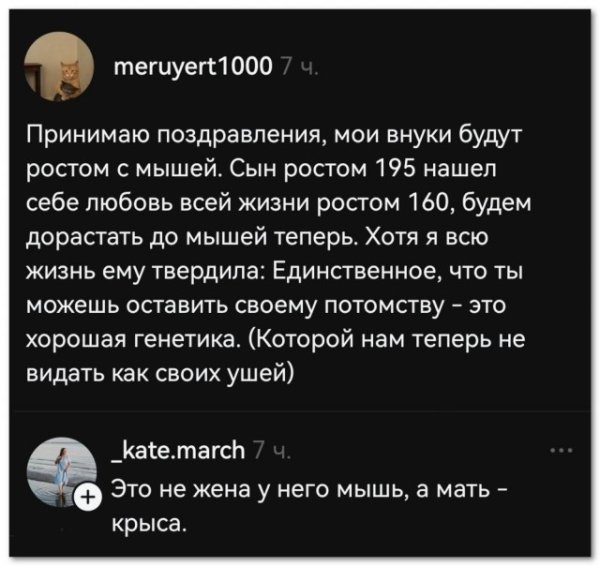 file_102453351