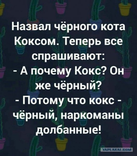 9d929dca976ac1068fd99a12d3c0ac17
