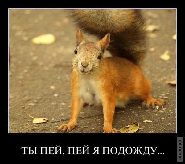 9e838a3d2036d3ed0ffcd518af8dc94d