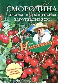 Смородина. Сажаем выращиваем заготавлива