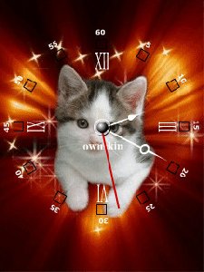 Animcаt