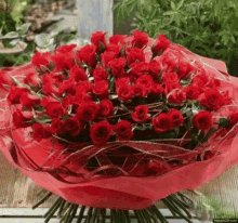 file_101248153