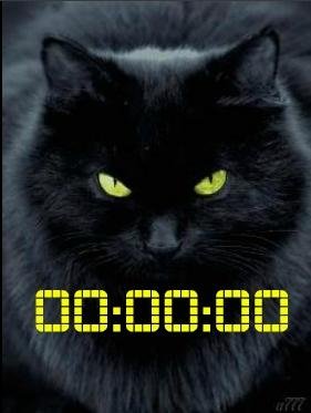 7 Кот ани часы опускаются