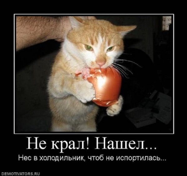 Д.Нёс в холодильник чтобы не испортилась.
