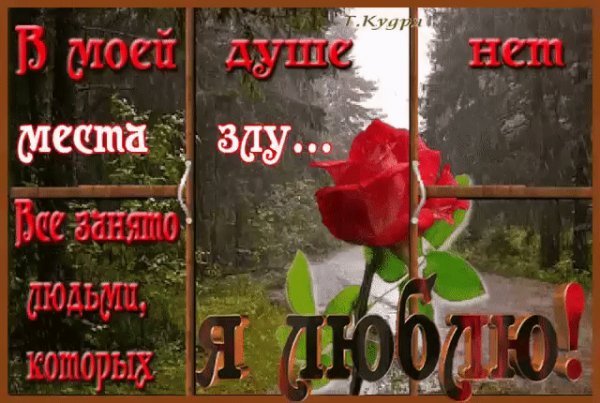 gif 1488479904