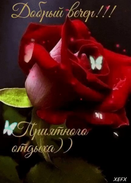 IMG 20240721 215605