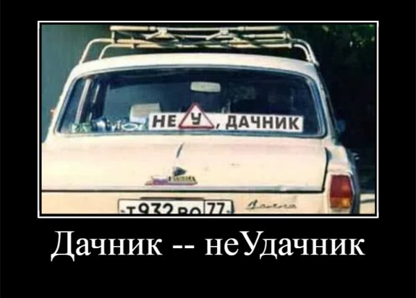 Дачник -- неудачник