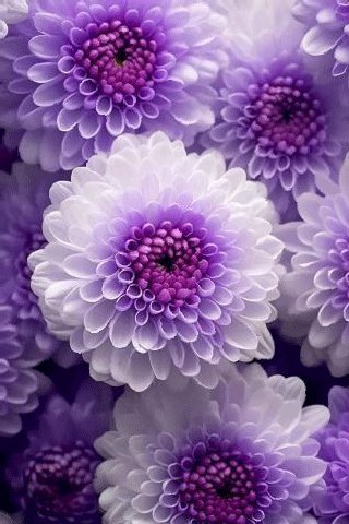 file_97208574