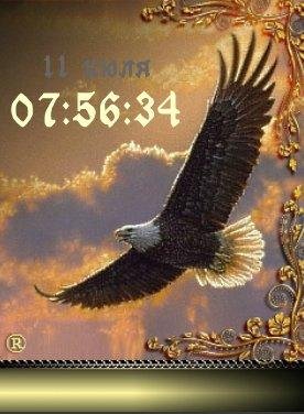Свбодный полёт