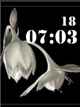 Цветы