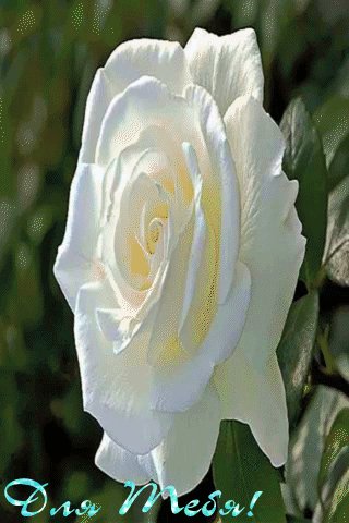 file_74272508