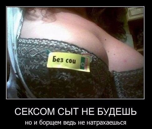 file_97945584