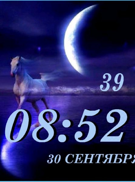 Конь