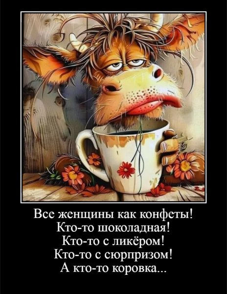 Все женщины как конфеты!