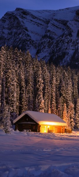 file_101658867
