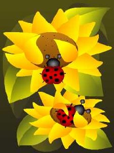 LADY BIRD