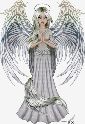theangel sfcc
