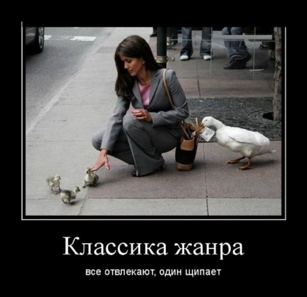Классика жанра