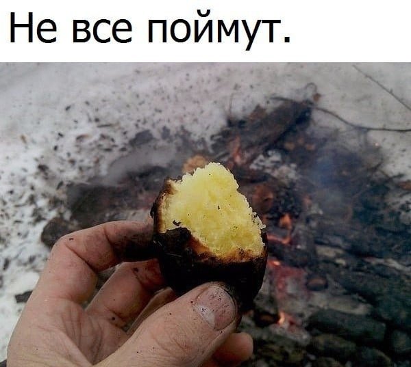 LQhzMvNI