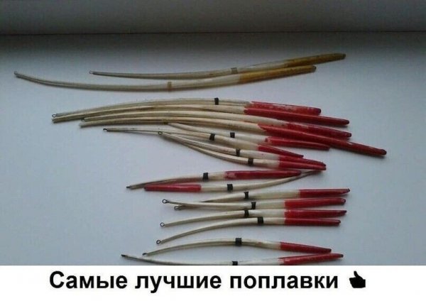 file_90339865