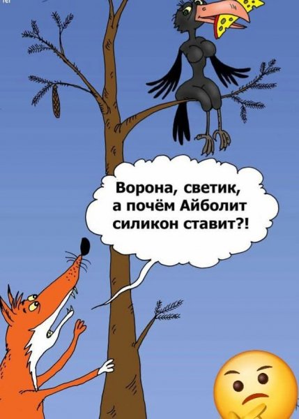 FB IMG 1778184596212